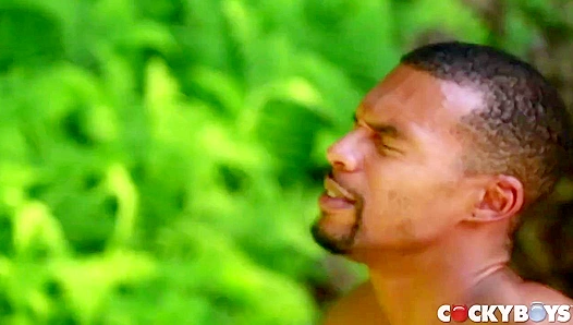 Boomer Banks Ravages Jacen Zhu in Lustful Outdoor Encounter – CockyBoys Raw Orgy