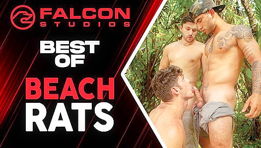Beachside Brawlers: Raunchy Sand-Slapped Rear Entry Rampage – Falcon Studios