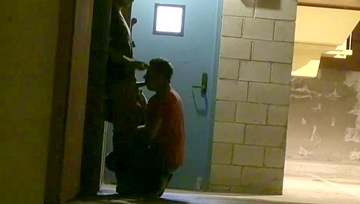 Public Pleasure Overwhelms Him: Spontaneous Deep-Throating Orgy Unfolds