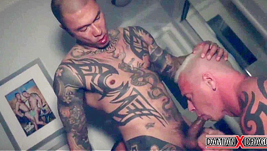 Damian Devours Dragons Thick Meat in Steamy Suck Session – HotGayXXX 18+