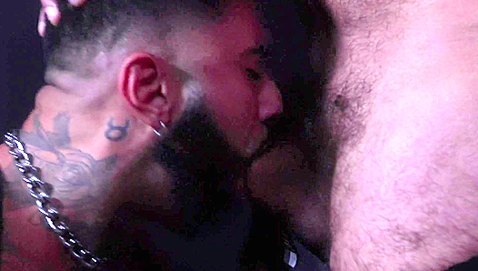 Hairy Bears Insatiable Hunger: Savoring the Massive Meat of a Lust-Crazed Stud –