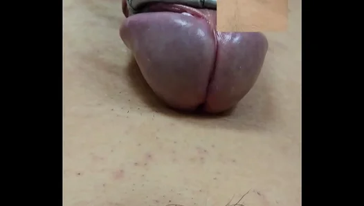 Hands-Free Orgasm: Amateur Enjoys Intense Thrusts from Sex Toys for Solo Gay Pleasure –