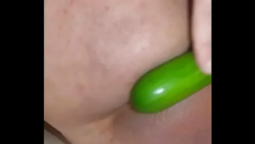 Exploring Juicy, Stuffed Loads: A Horny Amateurs Thorough Cucumber Play – AmatuerHeat 18+