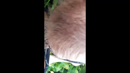 Sizzling Summer Suck: Gringos Expert Tongue Wraps Around Thick Latin Cock - AmateurGayFun