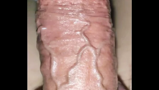 Asian Stallion Teases With Huge, Sheathed Cock in Clear Harness – Steamy 18+ Solo Action