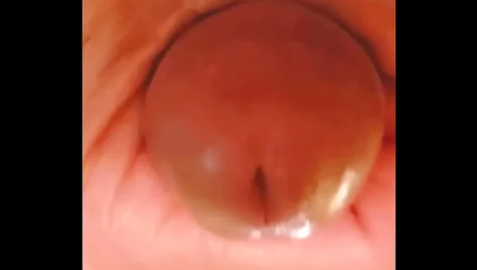 Devotion to Every Cockhead Detail: Passionate Amateur Fellatio Solo Experience