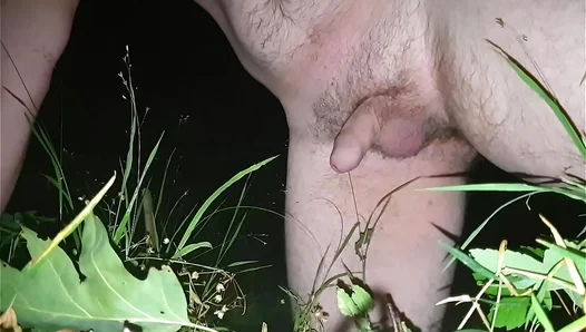 Wet n Wild Under the Stars: Steamy Outdoor Adventures with Sexy Surfers – TinyGays 18+