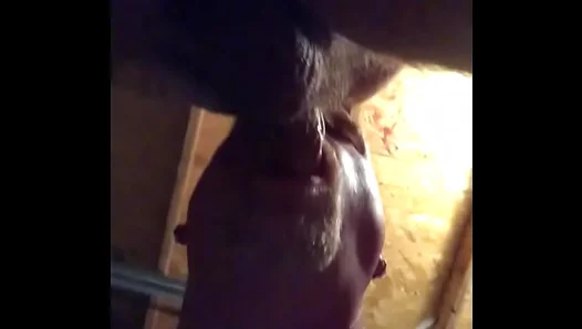 Raw Garage Affair: Hung Teen Drains His Older Lovers Thick Cock