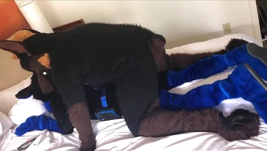 Kairo Murrs Furry Suit Gets Stuffed Hard in Doggy Delight – 18+