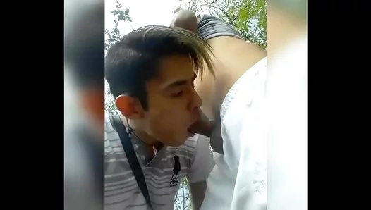 Steamy Strokes Outdoors: Mens Raw Passions Exposed by Gay Voyeur Cams – GayVoyeurs 18+