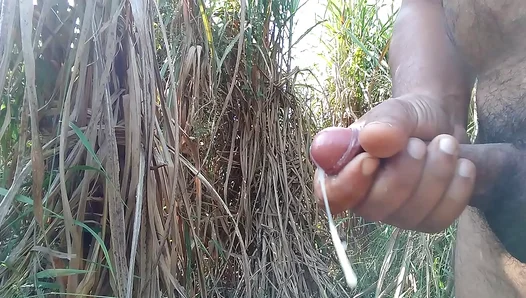 Sweaty Palms Meet Sticky Rod in Sultry Sugar Cane Hand Job – GayPornHub 18+