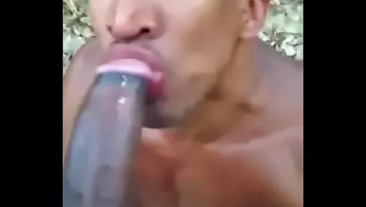 Steamy Hookup Ignites Desire as Ripped Stud Feeds Hunger for Shemales Throbbing Meat –
