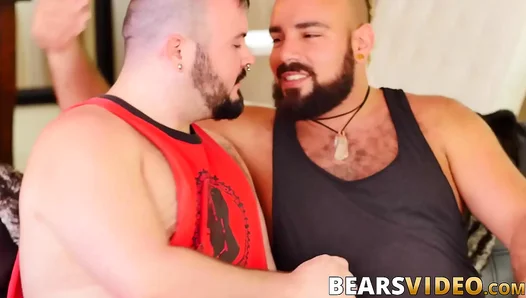 Chubby Bear Enjoys Slobbering Rimjob Before Raw Fucking His Eager Boytoy