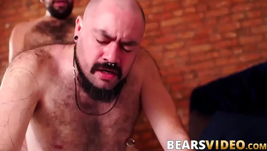 Tony Rivers Powerful Domination: Crushing, Raw Gay Sex with Hung Bear Silien – TinyGays