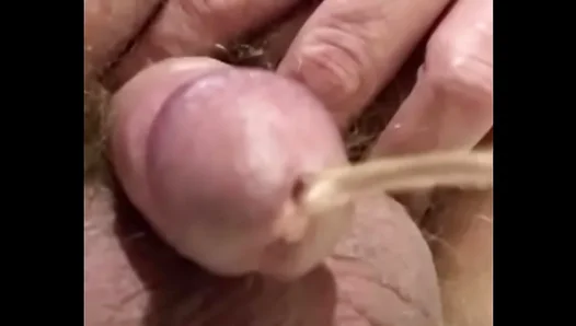 Raw Piss Play POV: Amish Lads Tiny Dick Dominates – Real Unfiltered Action