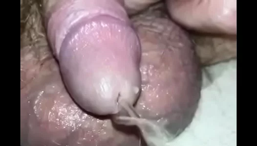 Intimate Urine Exchange: A Thrilling Look at Amateurs Petite Cock Piss Play –