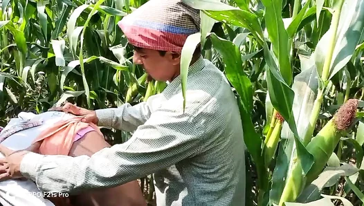 Steamy Indian Cornfield Affair: Boss Employees Forbidden Lust – Hindi Dialogue
