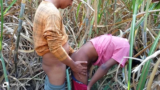 Rough Outdoor Threesome: Farm Boys Ravage Sexy Cutie Under the Sun – NaughtyVillageX 18+