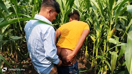 Seduced by Lust in a Field of Gold: Innocent Student Tempts Experienced Professor for
