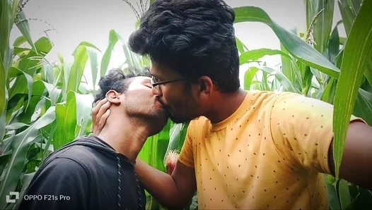 Blazing Summer Lovemaking: Friends Forbidden Fun in the Sweltering Cornfield – GayPornX