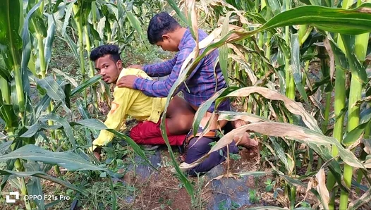 Golden Fields Ignite Burning Desire: Sweat-Drenched Laborer Hookups in Indian Summer Heat