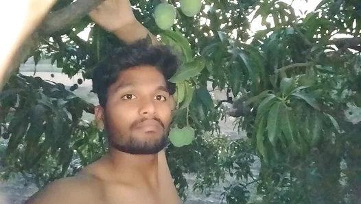 Sun-Kissed Bliss: Hungry Hunk Devours Juicy Mango Under Warm Rays – TinyGays 18+