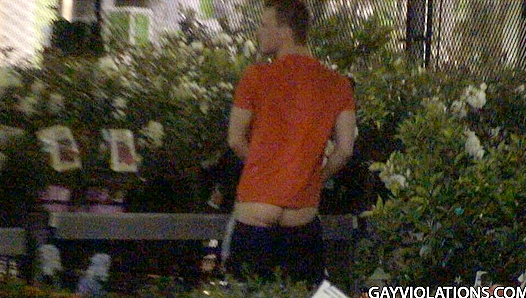 Sizzling Summer Lust Unfolds Amidst the Flowers: Two Cute Twinks Garden Tryst – GayRoom