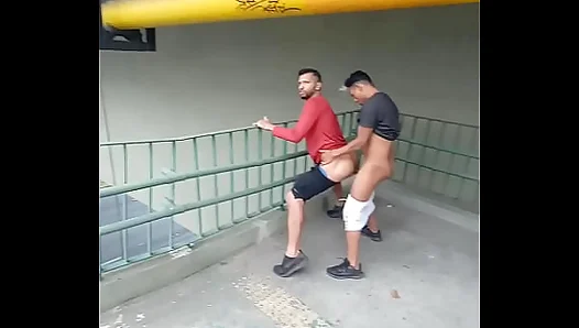 Rough Outdoor Romp: Hung Dudes Hook Up for Raw, Unbridled Sex – GayPornHub 18+