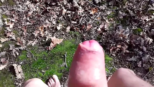 Exposed and Uninhibited: Steamy Public Blowjobs End with a Dripping Ejaculation –