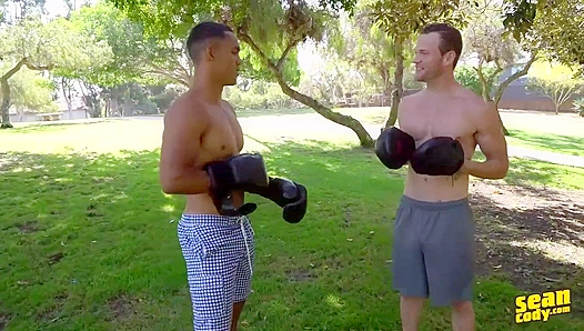 Steamy Bareback Boxer Showdown: Sean Murrays Hung Muscles on Full Display