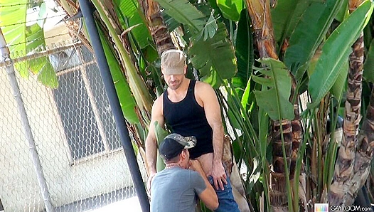 Tristan Mathews Sucks Hard in Public POV - GayRooms Juicy Blowjob Scene